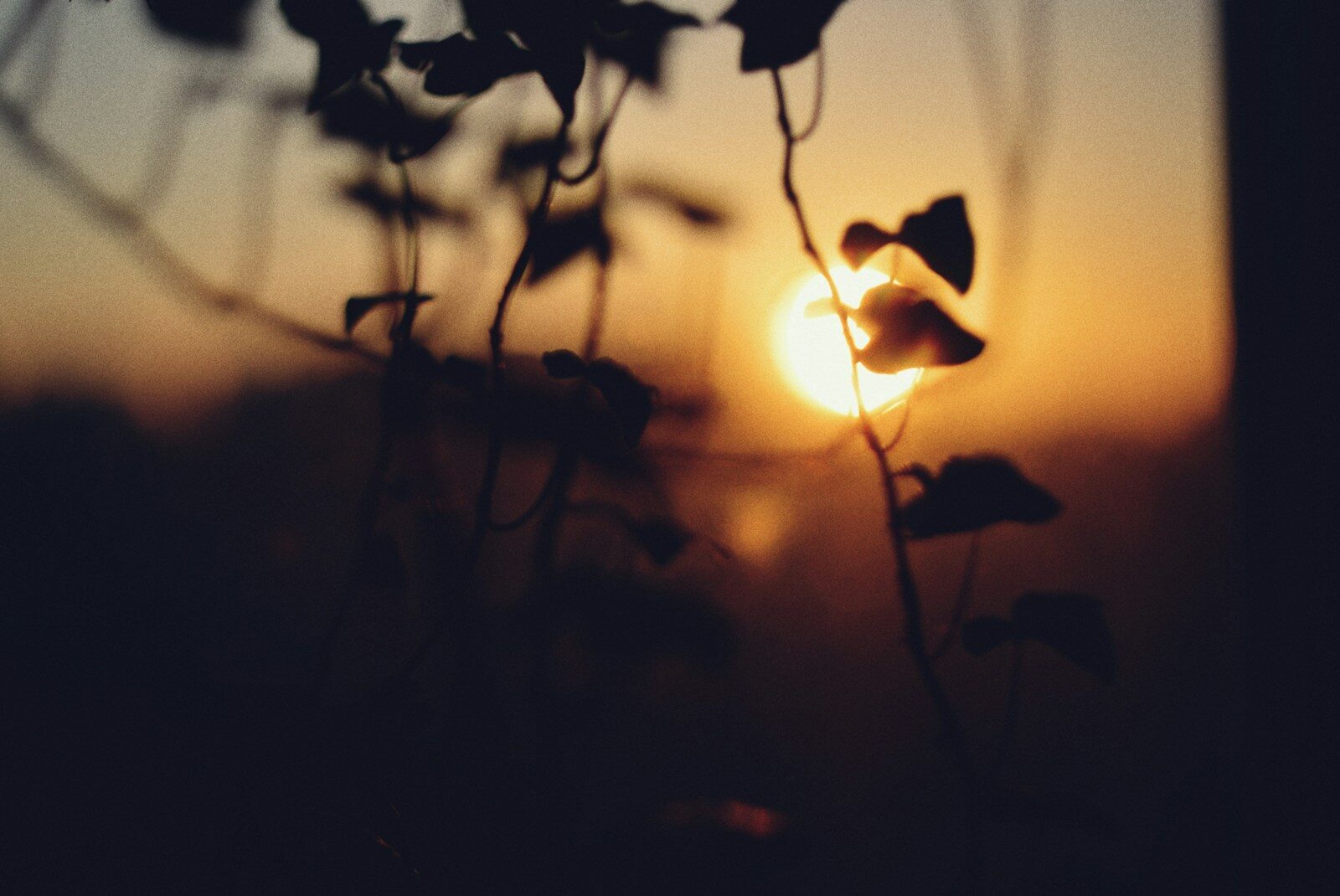 Cross-border Cooperation in Demining